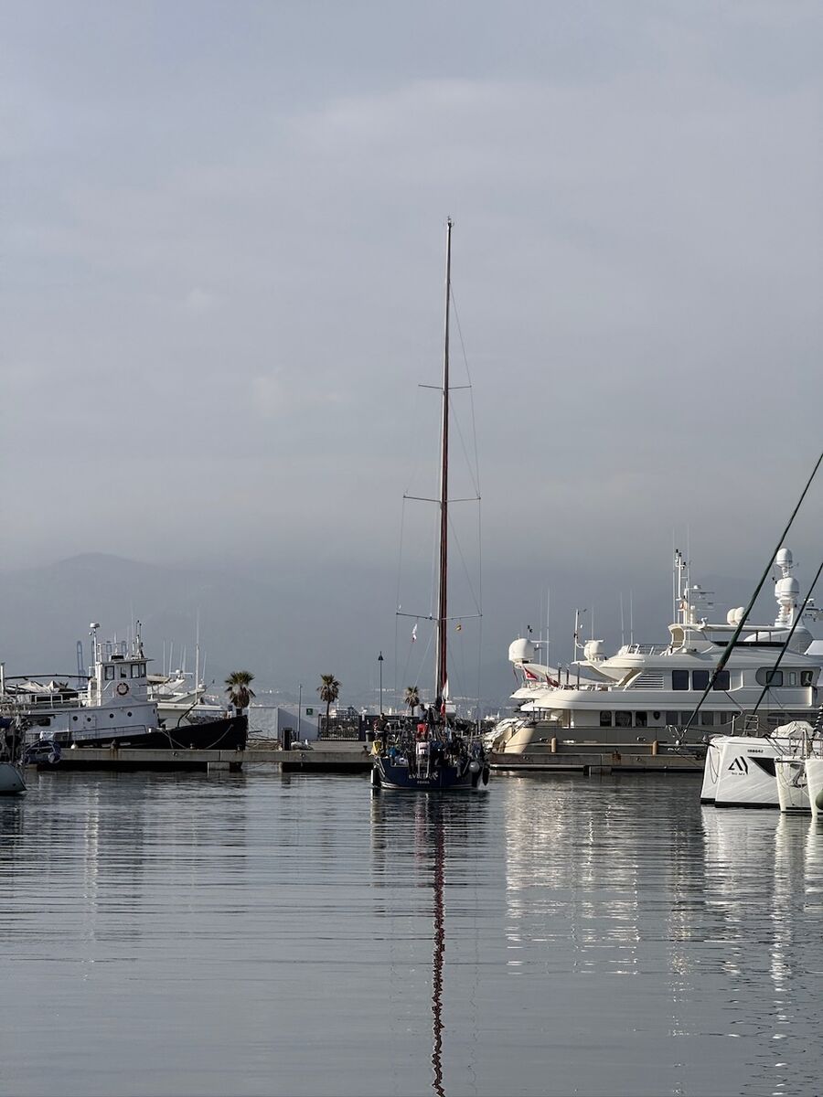 Atlantik 2025 - Photo 24