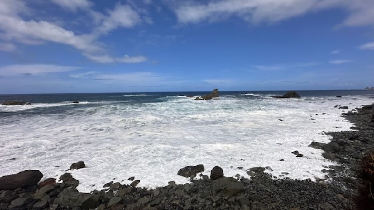 Kanárské ostrovy 2024 - Photo 19