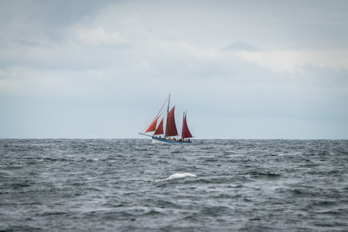 Scotland 2025 - Photo 16