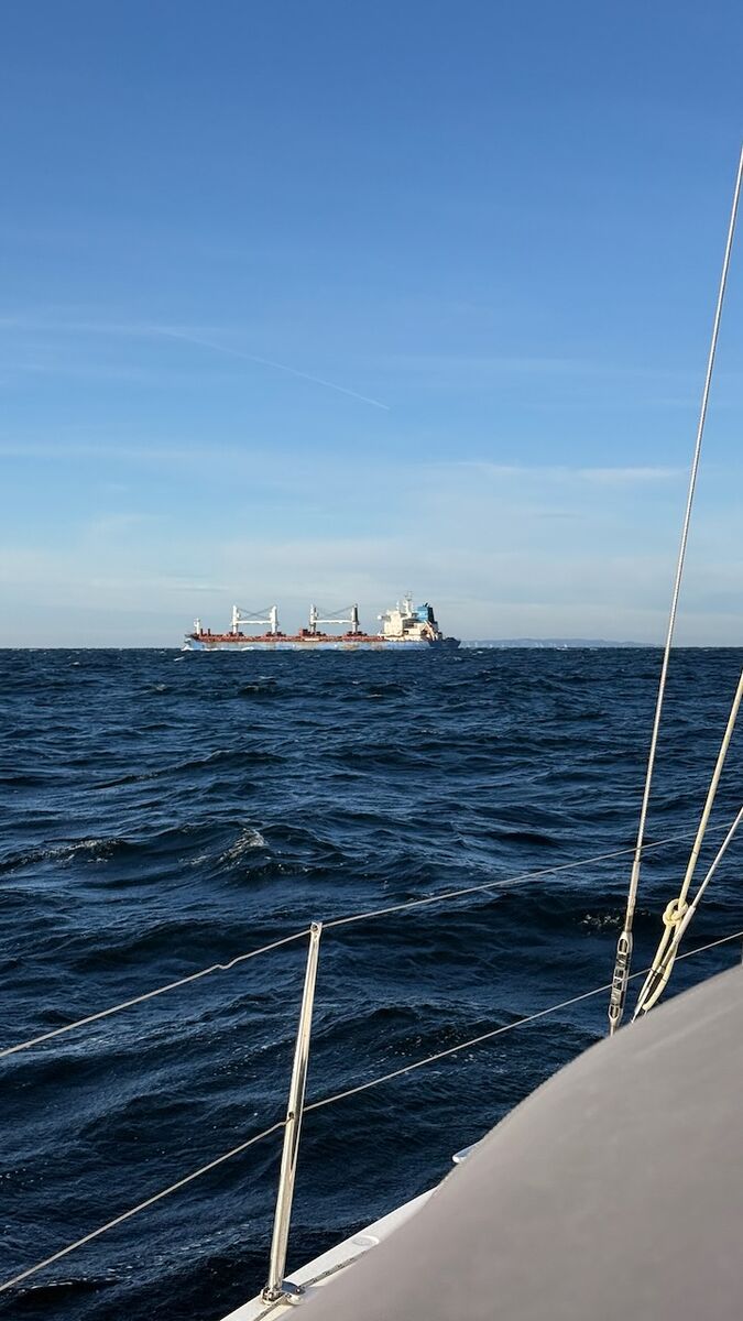 Zimní Balt 2025 - Photo 2